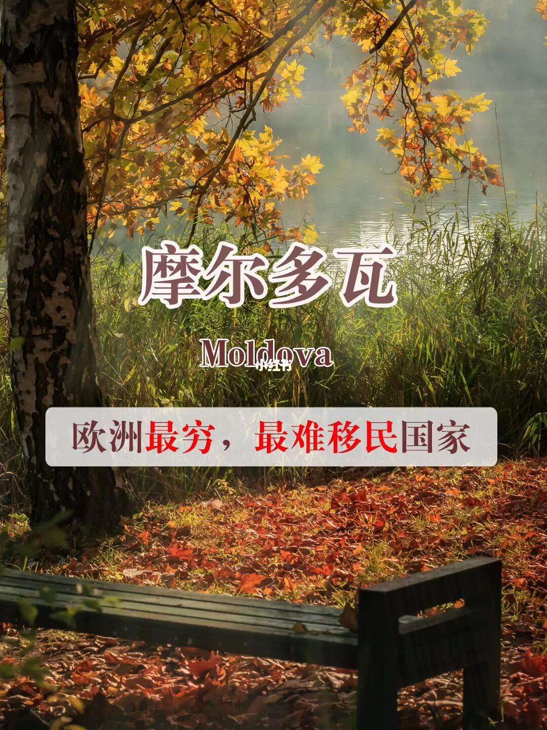 冰岛险胜摩尔多瓦,艰难晋级 冰岛险胜摩尔多瓦,艰难晋级