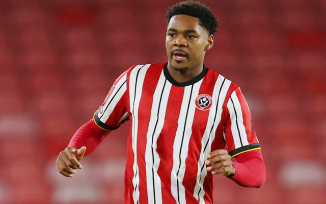 关于布里斯托城英冠战绩不佳，预备队崭露头角的信息