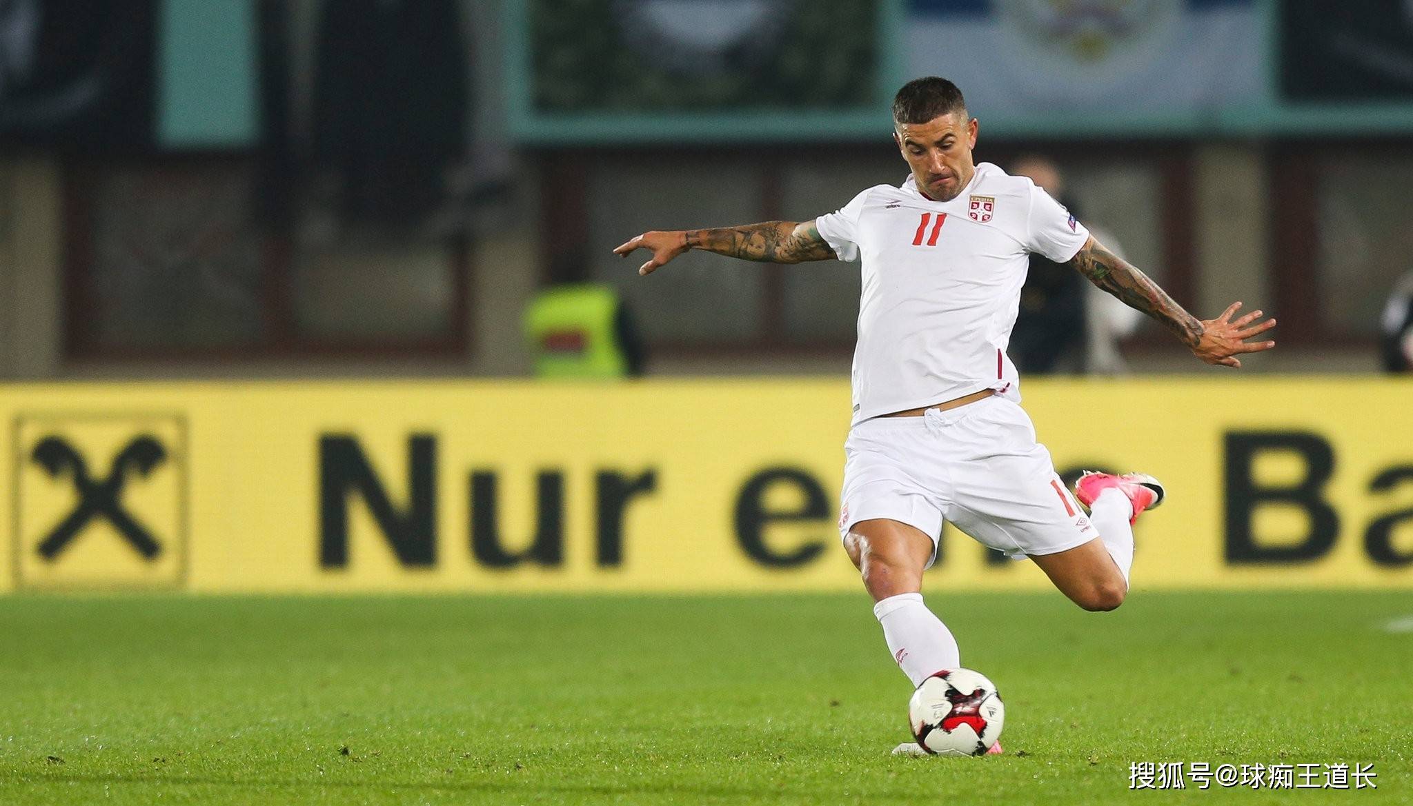 纽西兰球队在国际比赛中崭露头角的简单介绍